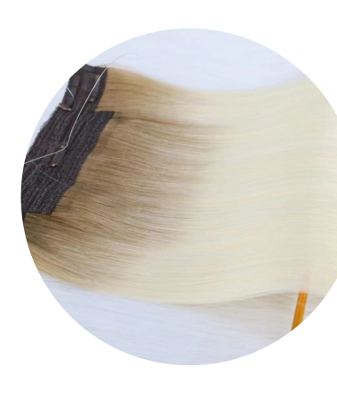 Halo in Hair Extensions